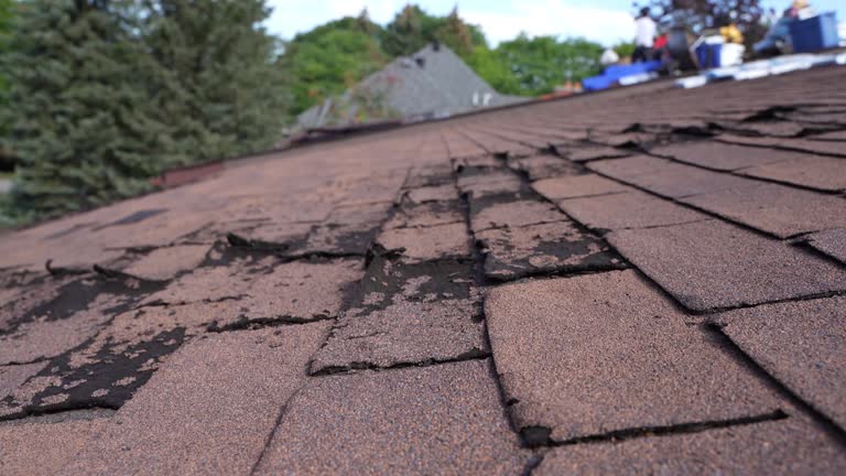 Best Wood Shake Roofing  in Armona, CA